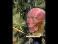 I Tested ancient weapons 1000years