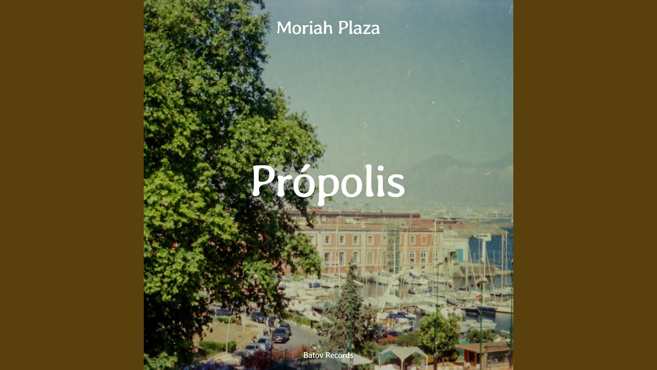 Própolis
