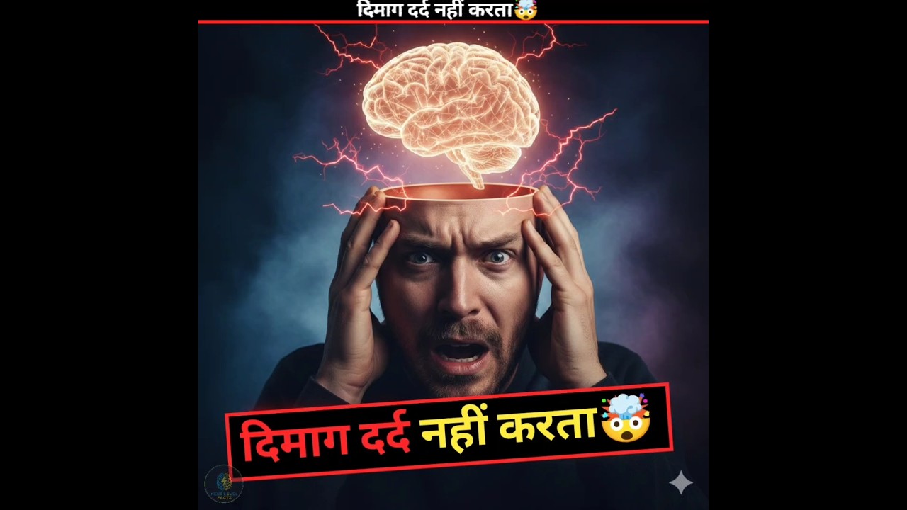 Brain Can’t Feel Pain?🤯| 