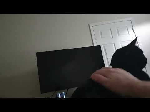 Made this out of spite