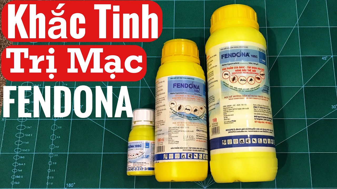 Thuốc Trị Mạc Nhà Yến Hiệu Quả Nhất | Diệt Tất Cả Côn Trùng Bảo Vệ Đàn Yến FENDONA