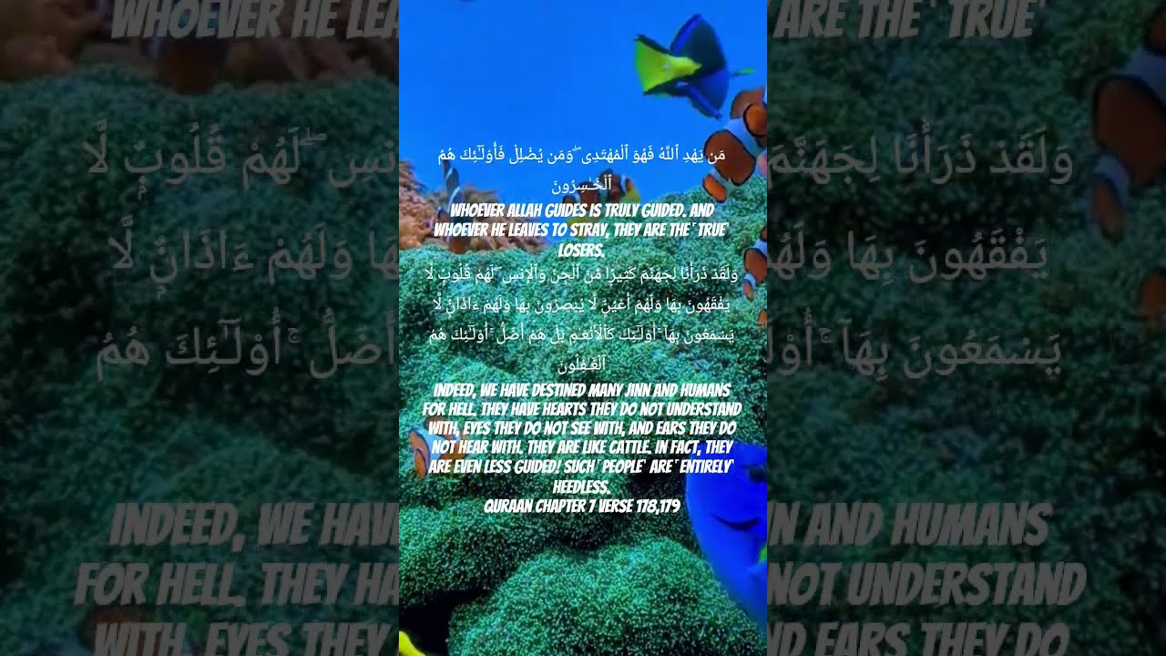 Quraan And Hadees Are A Way Of Life May Allah Guide Us All On True Path Subscribe Share 
