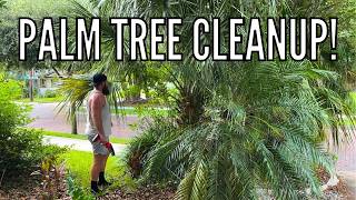 Driveway Garden Bed Cleanup! Pruning Palms & Crape Myrtle Suckers 🌴✂️