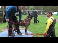 Best protection dogs in training with viorel scinteie 
