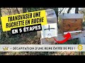 Transvaser une ruchette en ruche en 5 tapes  dcapitation dune reine vite de peu 