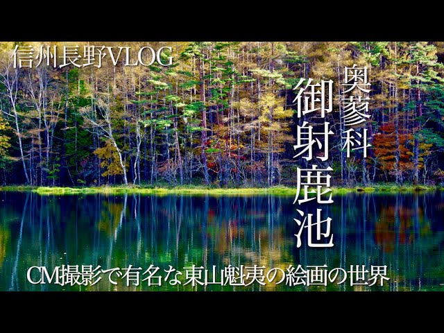 奥蓼科 御射鹿池4K【信州長野VLOG】CMロケ地として有名な東山魁夷の