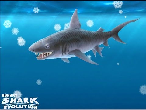 hungry shark evolution cheats tiger shark