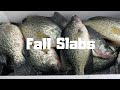 Fall Crappie Fishing