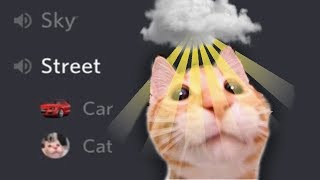 The Cat Goes to Heaven Discord Meme