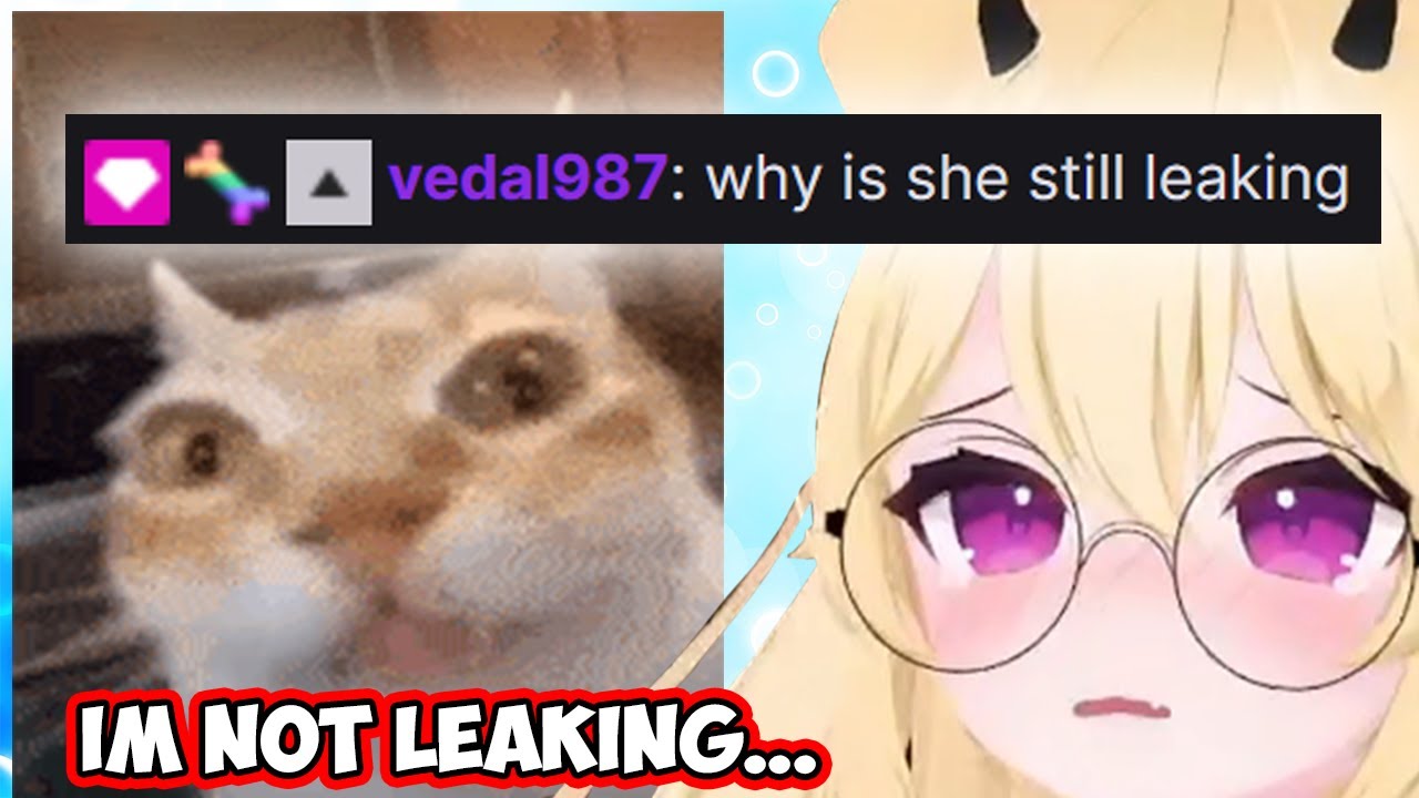 Vedal Suddenly Appears In Ceber's Chat And...