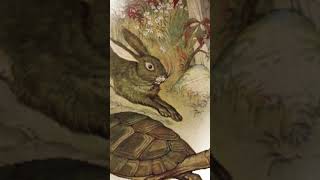 The Tortoise and the Hare
