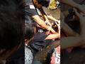 aksinya bikin melongo #jaranan #jhatilan #kudalumping