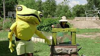 Frogs (preview)