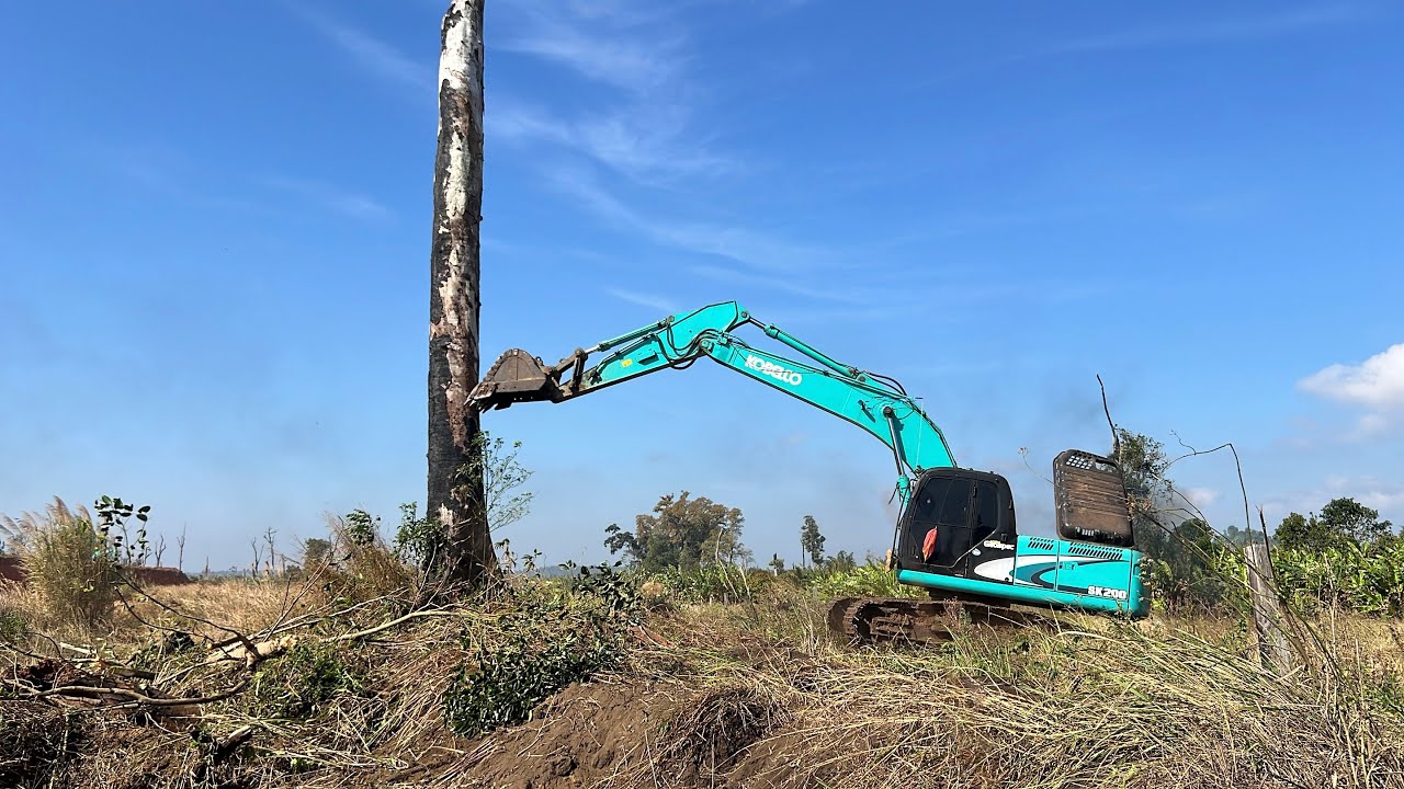The excavator cleanly digs the tree stump out of the ground. 
