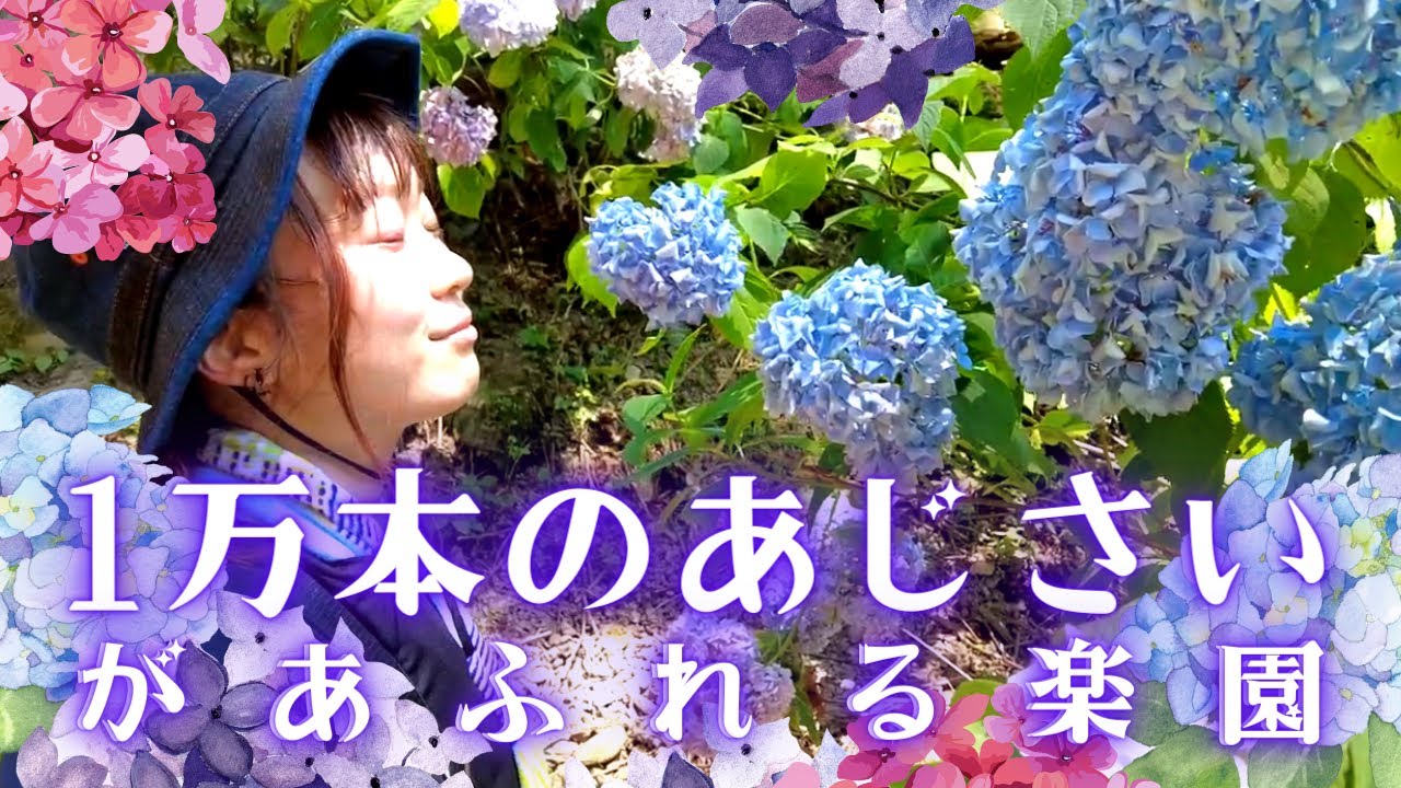 【トレッキング】花咲か爺さんがいるあじさいに溢れた山をのぼる【登山】【キャンプ女子】