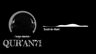 Surah 27 «An-Naml» (Муравьи) Чтец: Точиев Абдуллах