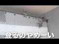 これからこの暴れん坊のモモンガの体重測定をします