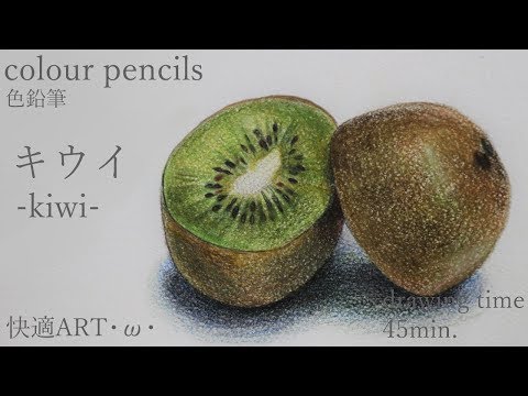油彩画　キウイの静物 油彩）キウイの静物 | Yui-Fujita-onlineshop