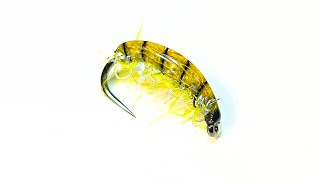 Olive Fuzz Gammarus Nymph. #flytying #flyfishing #gammarus #nymphs #troutfishing #nymphing #troutfly