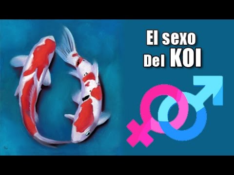 El Estanque De Abril