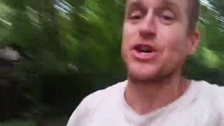 Are trees with multiple trunks more dangerous? Content