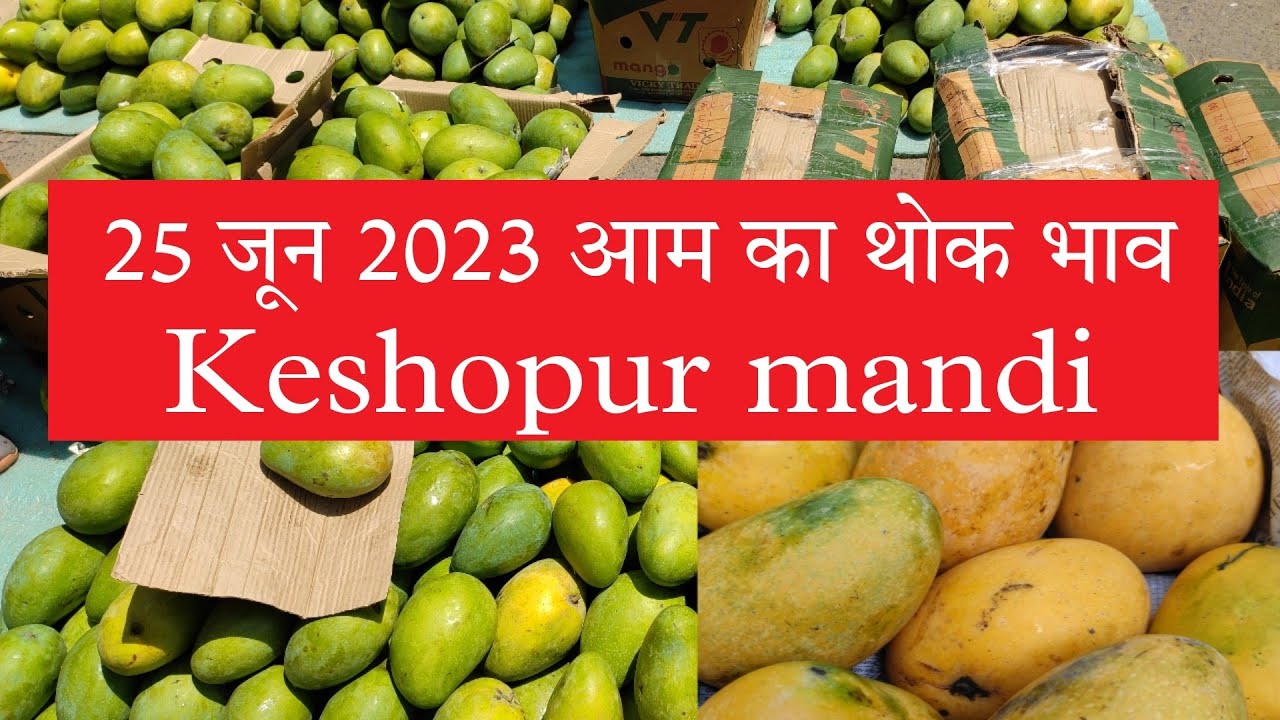25 June 2023 आम का थोक भाव safeda mango price Today mango market price Safeda aam ka
