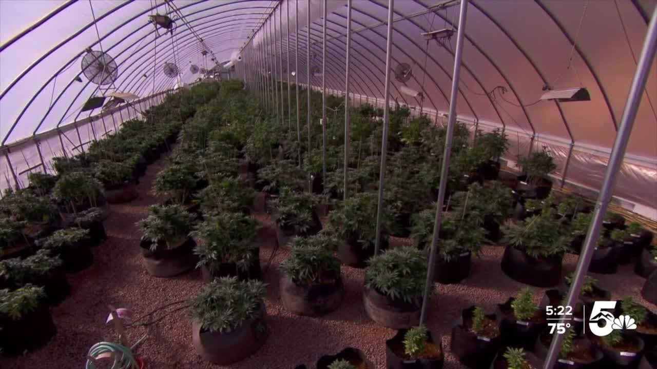 Should recreational marijuana be legal in Colorado Springs?