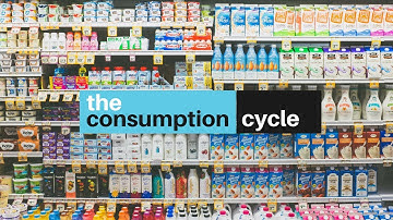 Consumption Cycle