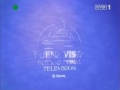 Walt Disney Television/Buena Vista International Television (1991/2006)