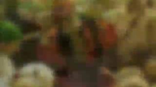 punjabi poetry by Ali Ambar luck.0346.7200799