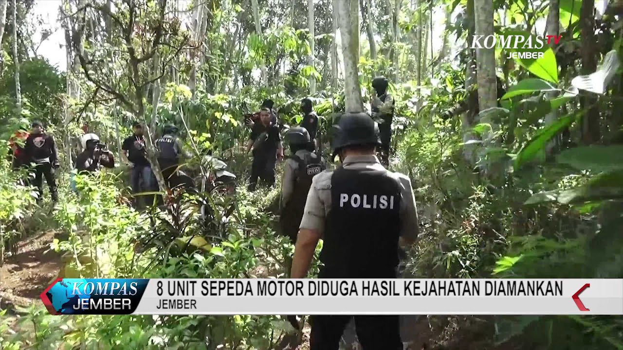 Tim Cobra Buru Pelaku Curanmor Hingga Ke Jember