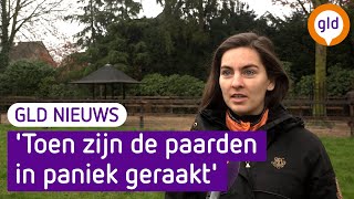 GLD Nieuws 27 december 2021