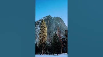 Yosemite National Park