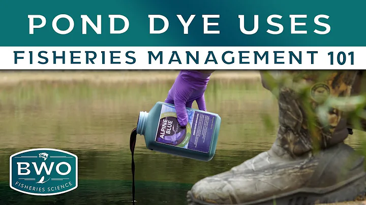 Why do we use Pond Dye? Benefits, Purpose, and Treatments - Fisheries Management 101