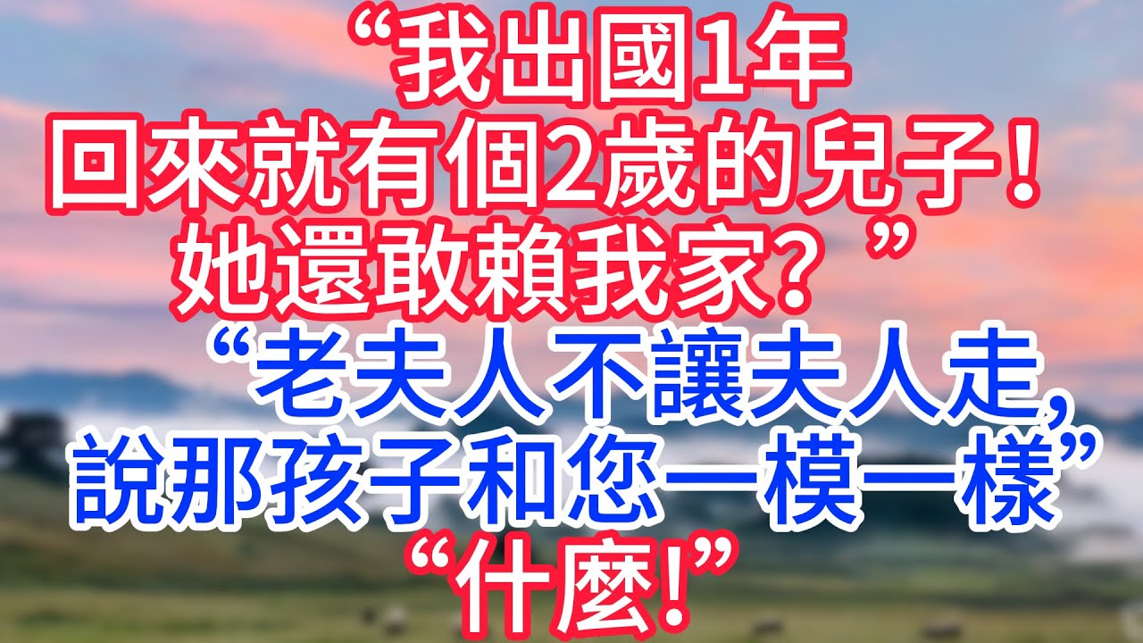 “我出國1年，回來就有個2歲的兒子！她還敢賴我家？”“總裁，老夫人不讓夫人走啊，說那孩子和您小時候一模一樣!”“什麼!”#故事#言情小說#一口氣看完#爽文