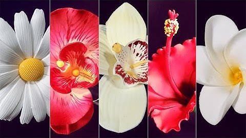 5 Sugar Flowers with DIY Cutters - Overview