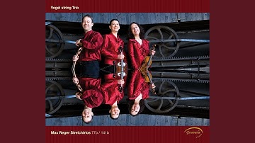 String Trio in A Minor, Op. 77b: I. Sostenuto - Allegro agitato