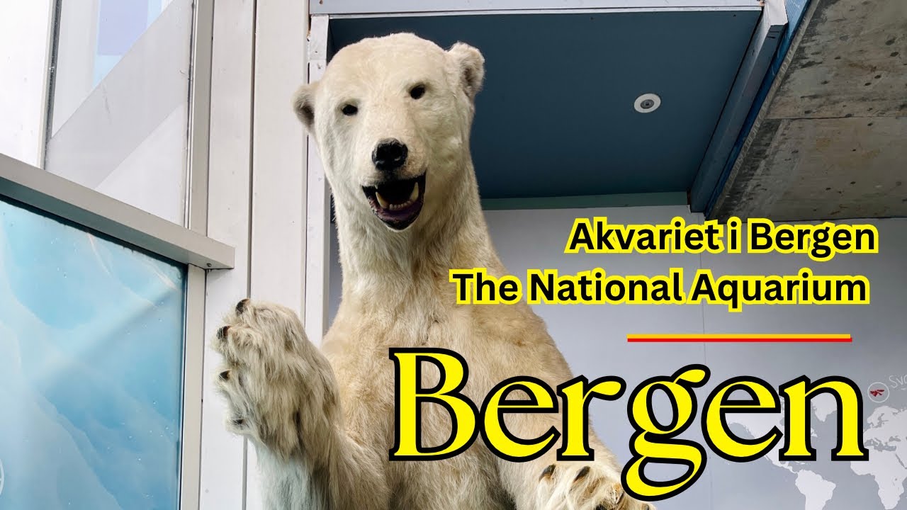 Akvariet i Bergen - The National Aquarium