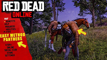 FILL YOUR TRADER MATERIALS IN 15 MIN WITH THIS FAST AND EASY METHOD