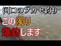 河口のフカセ釣り 泥濁りは爆釣の兆し