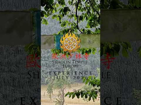 Impressions from the Temple Experience with Journey Into Oneself. ☯️