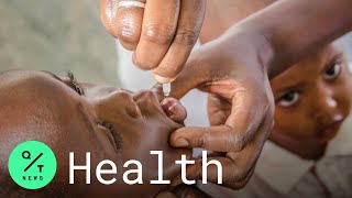 Africa Declared Free of Wild Polio Following Decades-Long Vaccination Efforts