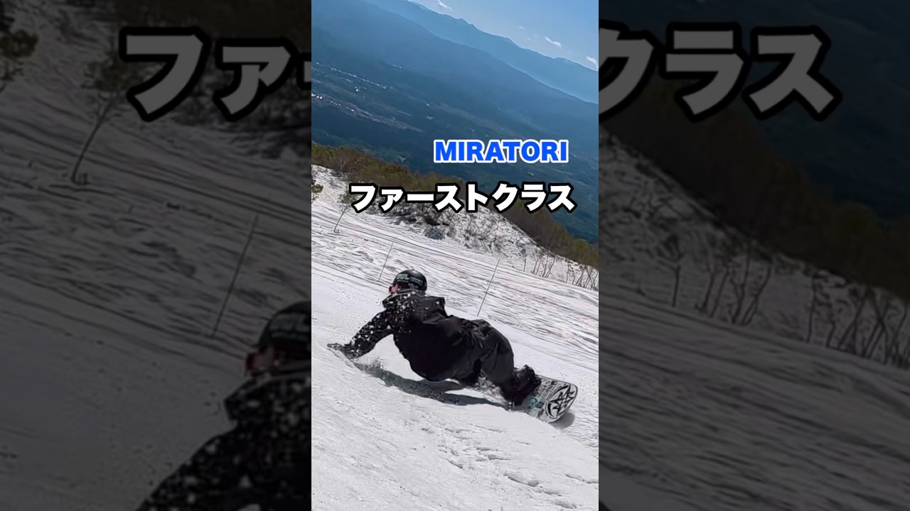 ファーストクラス最高！　#ミラトリ　#ダックスタンスカービング