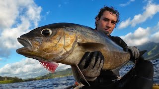 Solo Spearfishing Adventure on a Tiny Kayak!
