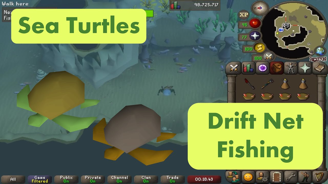 Sea Turtles - Cooking Every Item in Old School Runescape - Episode 42 ...