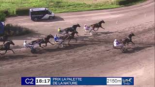 Vidéo de la course PMU PRIX LA PALETTE DE LA NATURE