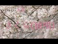 《さくら(独唱)》オカリナ&amp;ピアノ「桜音」クリスマスコンサート・アンコール曲