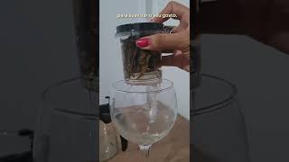 Cha de Jambolao Syzygium Jambolana D.C. Rocha Saude 100%