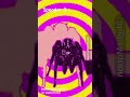 lol #spider #animated #strange #animals
