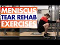 Meniscus Tear Rehabilitation Exercises [ Axe Physio ]